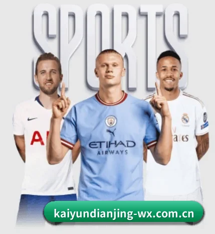 五大服务分区,信息按项目分类 - 多运动项目内容板块(Kaiyun Esport)